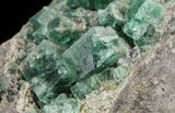 Fluorite & Galena Cluster - Rogerley Mine #60370-1
